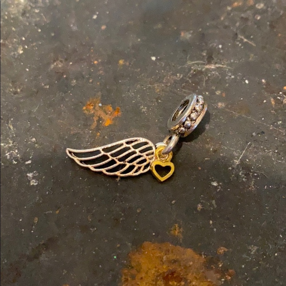 Charm for a Pandora Bracelet